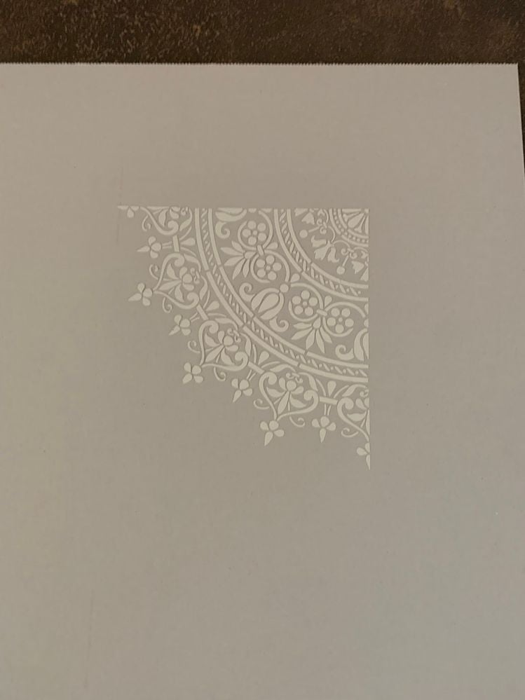 IMG_4961.JPEG IMG_4961.JPEG