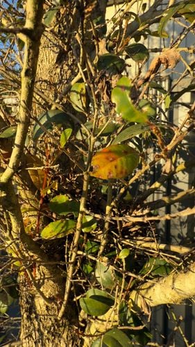 IMG_0896.jpeg IMG_0896.jpeg