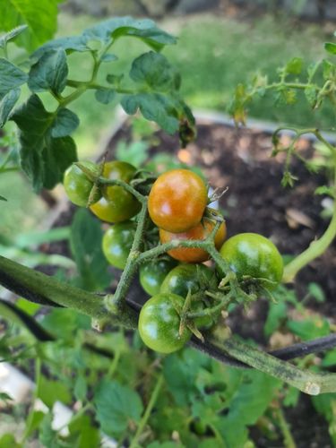 20241213_160437.jpg 20241213_160437.jpg