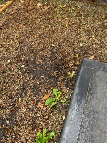 282B3435-3FA0-48CD-AE41-723F2E7D94E0.jpeg 282B3435-3FA0-48CD-AE41-723F2E7D94E0.jpeg