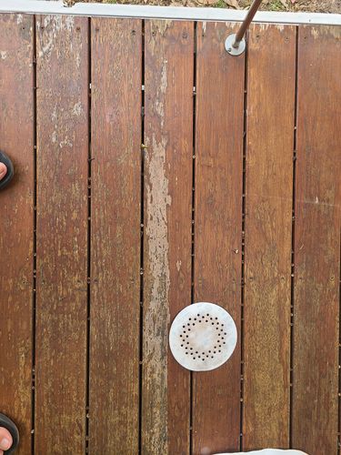 20260119_184941.jpg 20260119_184941.jpg