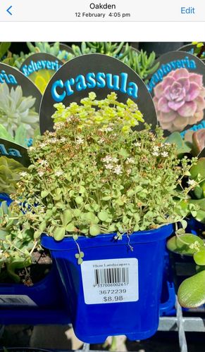 89AA1637-A6B6-4AE2-9C34-B3552F8C349E.jpeg 89AA1637-A6B6-4AE2-9C34-B3552F8C349E.jpeg