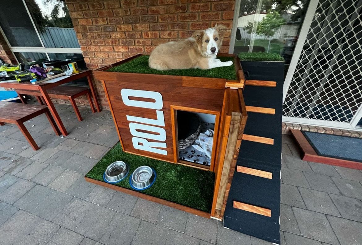 dog-on-dog-house.jpg dog-on-dog-house.jpg