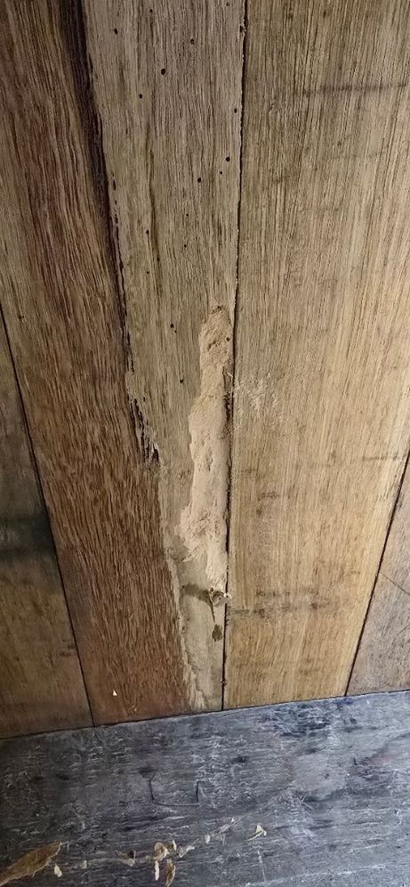 20250517_134752.jpg 20250517_134752.jpg