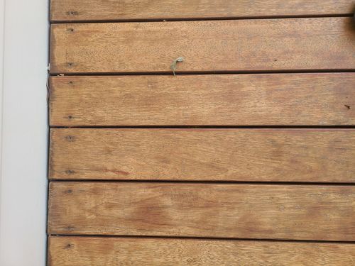 20260120_155234.jpg 20260120_155234.jpg