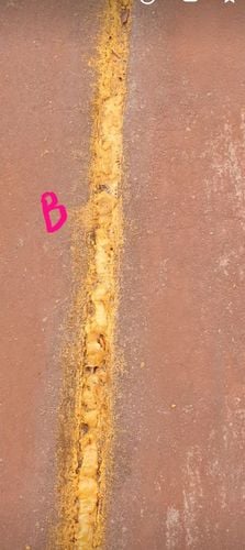 Screenshot_20221130-173918_Photos.jpg Screenshot_20221130-173918_Photos.jpg