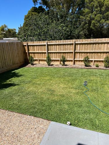 IMG_3167.jpeg IMG_3167.jpeg