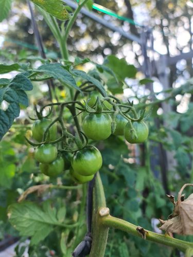 20241213_160425.jpg 20241213_160425.jpg