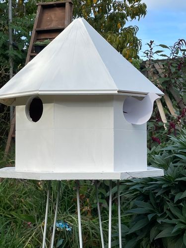 IMG_8644.jpeg IMG_8644.jpeg