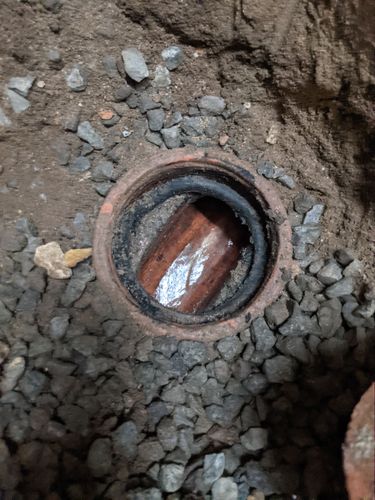 PXL_20210508_034227681.jpg PXL_20210508_034227681.jpg