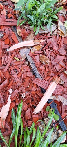 20240505_103101.jpg 20240505_103101.jpg