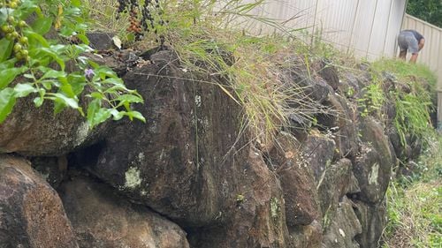 IMG_1581.jpeg IMG_1581.jpeg