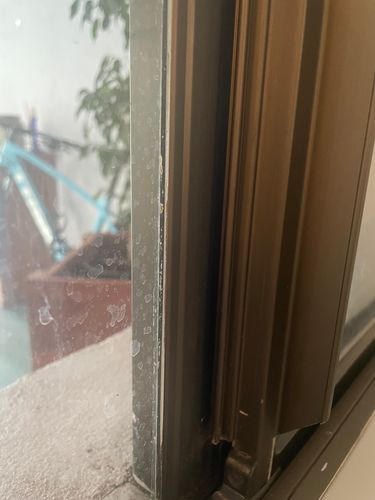 IMG_6001.jpeg IMG_6001.jpeg