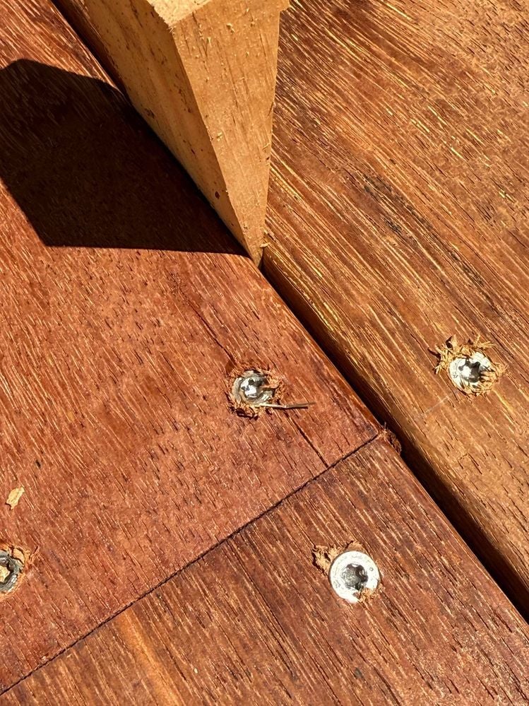 467474723_1959813761164578_5433839327705350683_n.jpg 467474723_1959813761164578_5433839327705350683_n.jpg