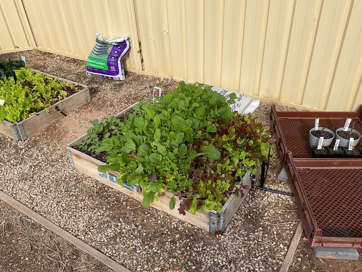 IMG_0779.jpeg IMG_0779.jpeg