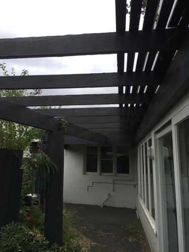 E232FA83-F0F2-4432-B3E0-DF41F2949E54.jpeg E232FA83-F0F2-4432-B3E0-DF41F2949E54.jpeg