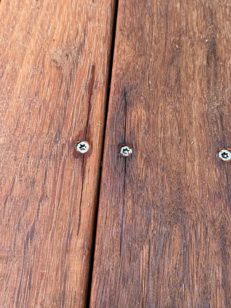 462549138_1520421988556540_1073367049452497400_n.jpg 462549138_1520421988556540_1073367049452497400_n.jpg