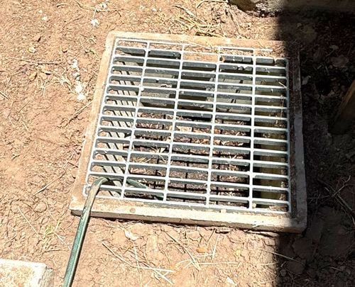 IMG_3347.jpeg IMG_3347.jpeg