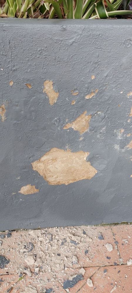 middle wall.jpg middle wall.jpg