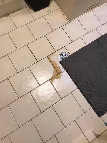 01 13-05-2024.jpg 01 13-05-2024.jpg