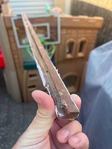 IMG_9228.jpeg IMG_9228.jpeg