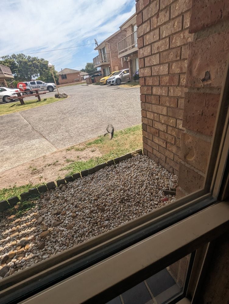 PXL_20230109_022040236.jpg PXL_20230109_022040236.jpg