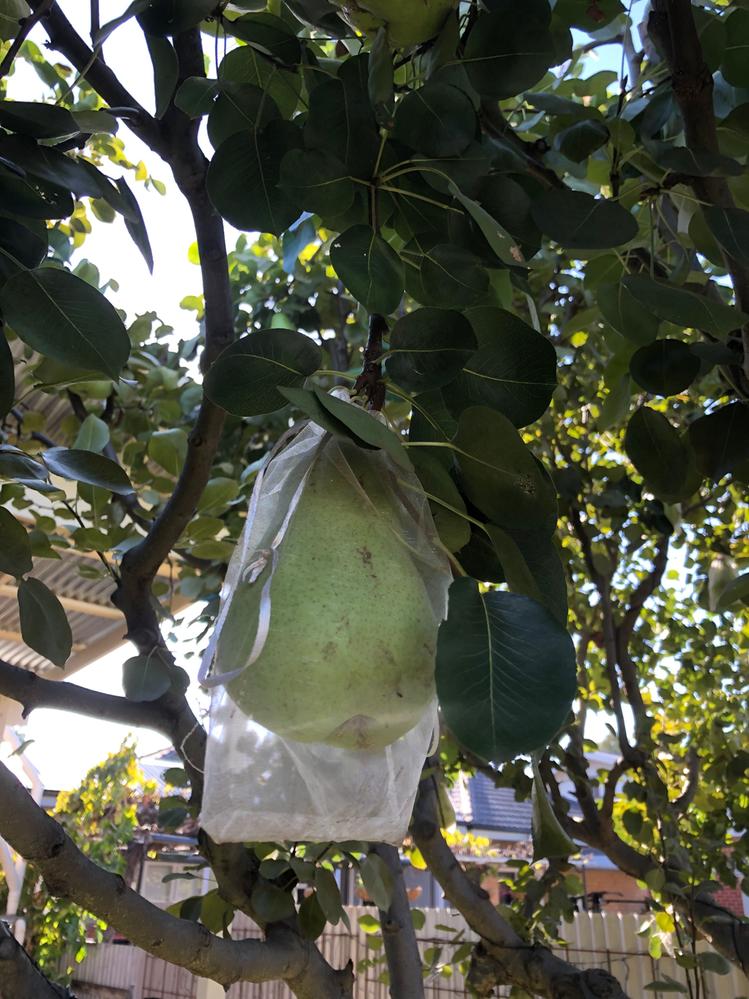 IMG_2140.jpg IMG_2140.jpg