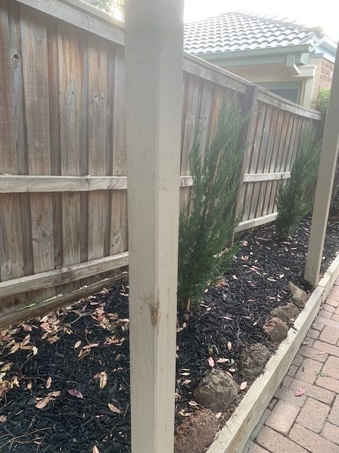 IMG_7860.jpg IMG_7860.jpg