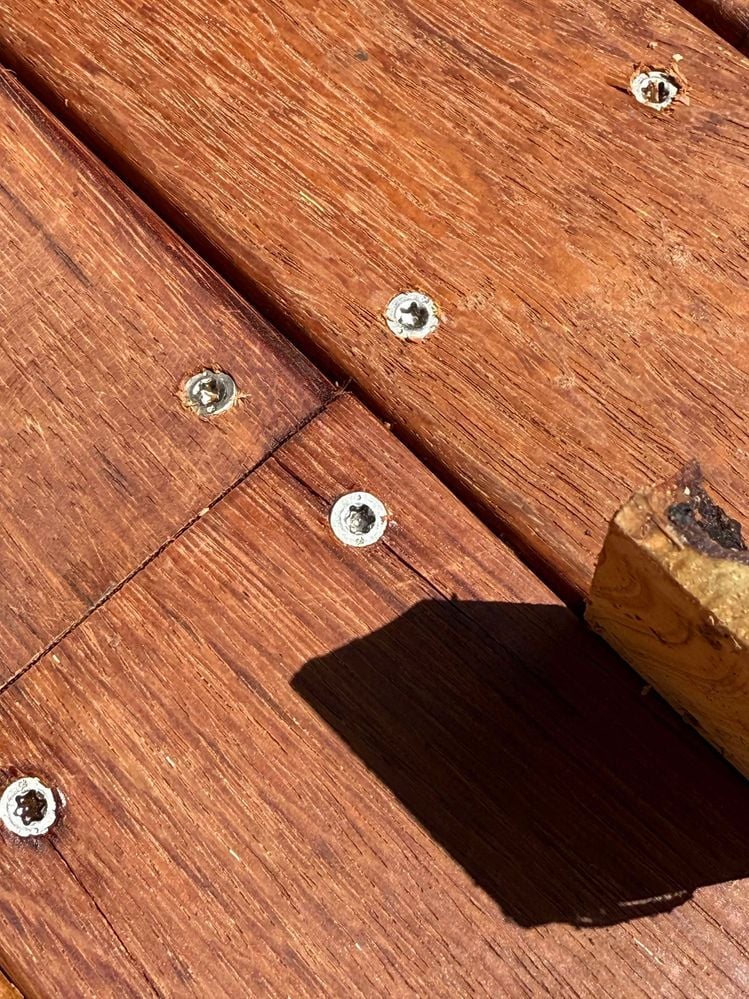 467482406_1310147967002531_2061104778900494628_n.jpg 467482406_1310147967002531_2061104778900494628_n.jpg