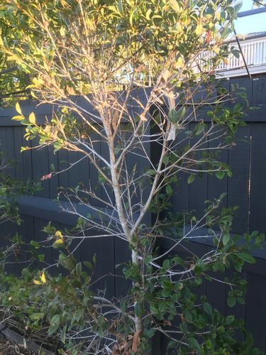 7E28381F-BEF5-4A1B-BFD8-8201CAEBBEDB.jpeg 7E28381F-BEF5-4A1B-BFD8-8201CAEBBEDB.jpeg