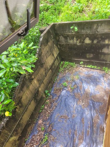 20211120_120653.jpg 20211120_120653.jpg