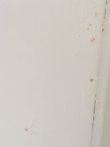 0D2E17BE-B7CF-4823-B0F2-EF8306920E4D.jpeg 0D2E17BE-B7CF-4823-B0F2-EF8306920E4D.jpeg