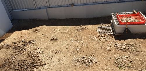 20201010_120651.jpg 20201010_120651.jpg