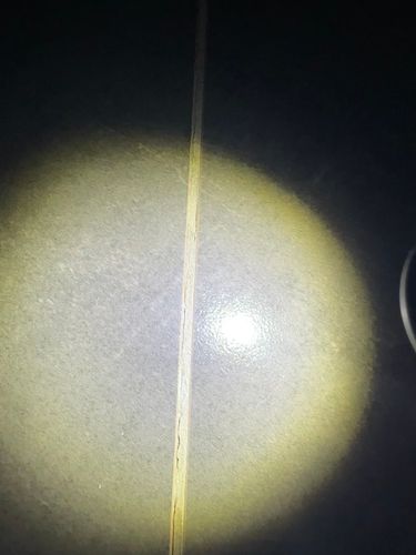 IMG_1173.jpeg IMG_1173.jpeg