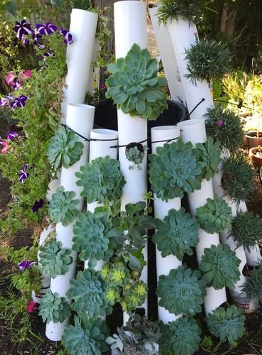 3A0C0858-DB54-4D00-BA6D-30418349A30F.jpeg 3A0C0858-DB54-4D00-BA6D-30418349A30F.jpeg