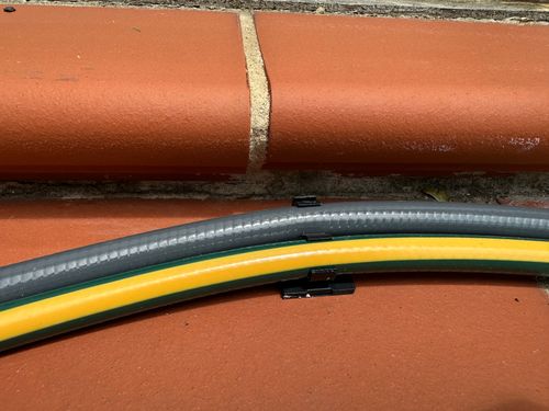 IMG_7859.jpeg IMG_7859.jpeg