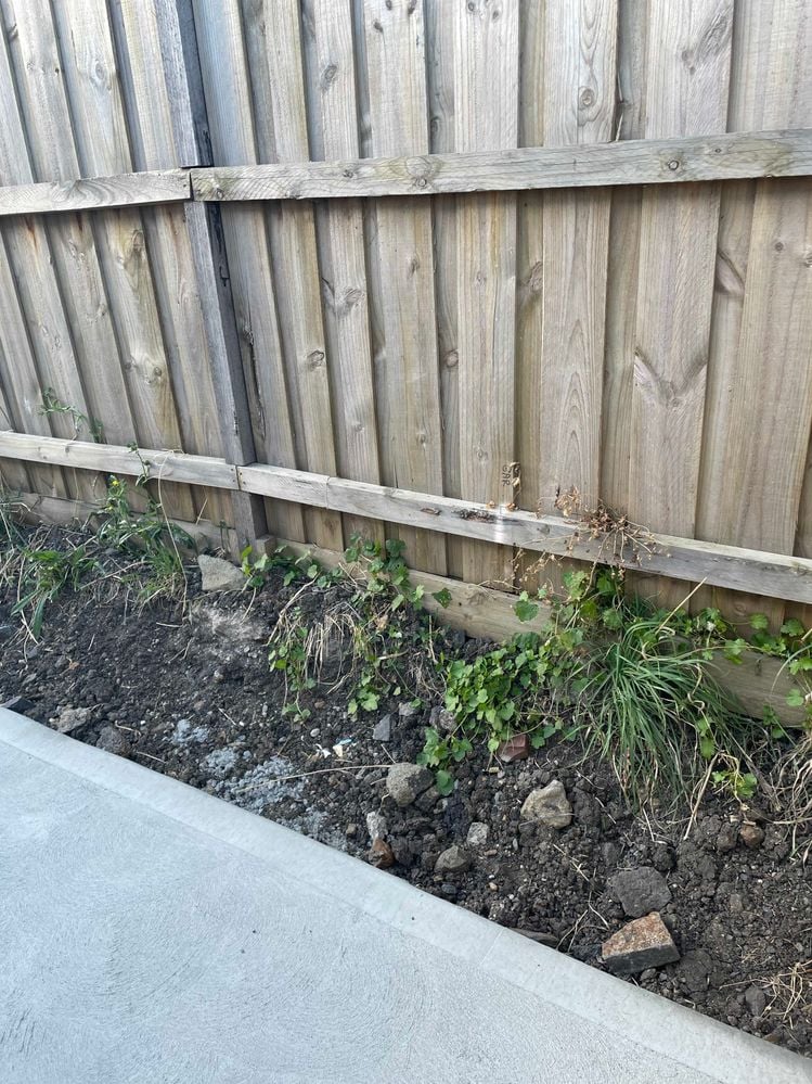 IMG_9444.jpeg IMG_9444.jpeg