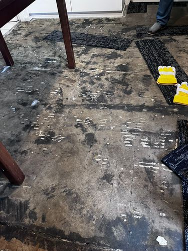 WhatsApp Image 2025-01-08 at 14.15.10_a2d67f82.jpg WhatsApp Image 2025-01-08 at 14.15.10_a2d67f82.jpg