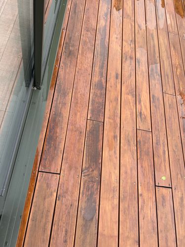 IMG_4124.jpeg IMG_4124.jpeg