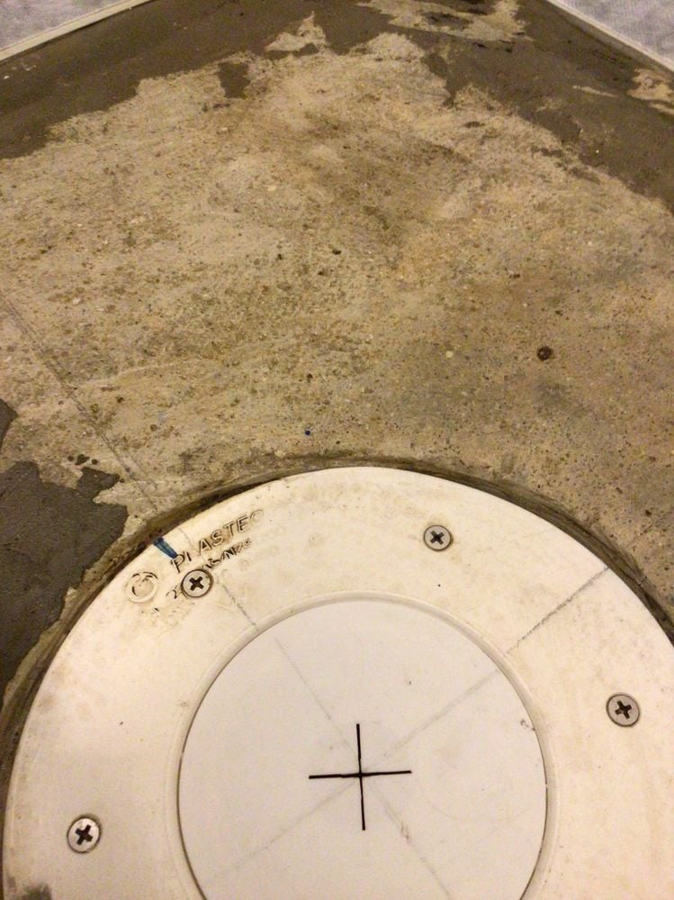 IMG_0100.jpeg IMG_0100.jpeg