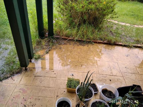 IMG_20221007_124227.jpg IMG_20221007_124227.jpg