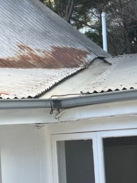 IMG_0960 Medium.jpeg IMG_0960 Medium.jpeg