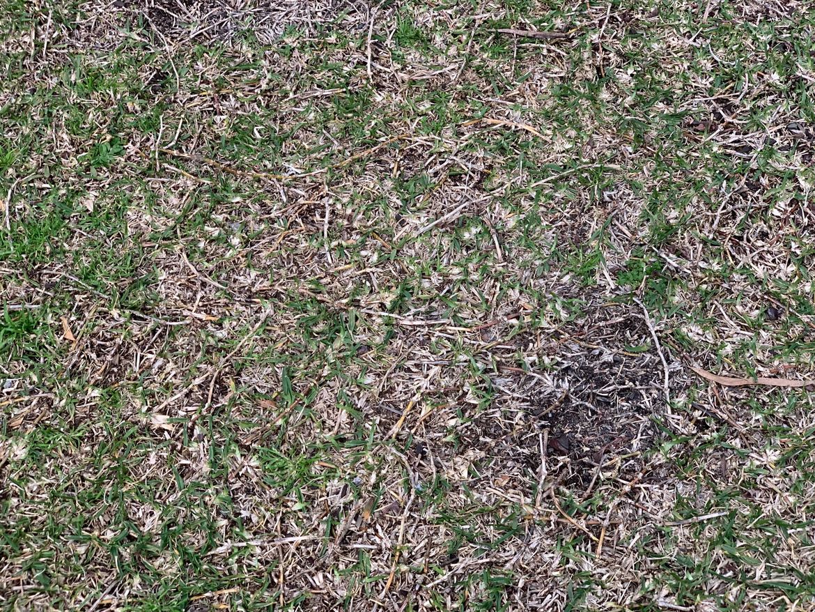 Image from iOS.jpg Image from iOS.jpg