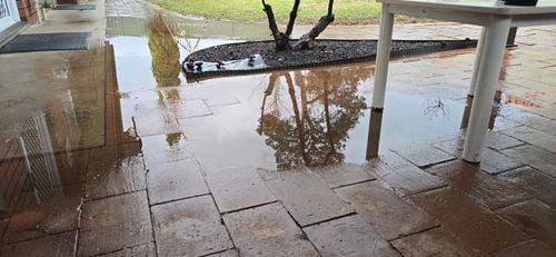 1000026018.jpg 1000026018.jpg