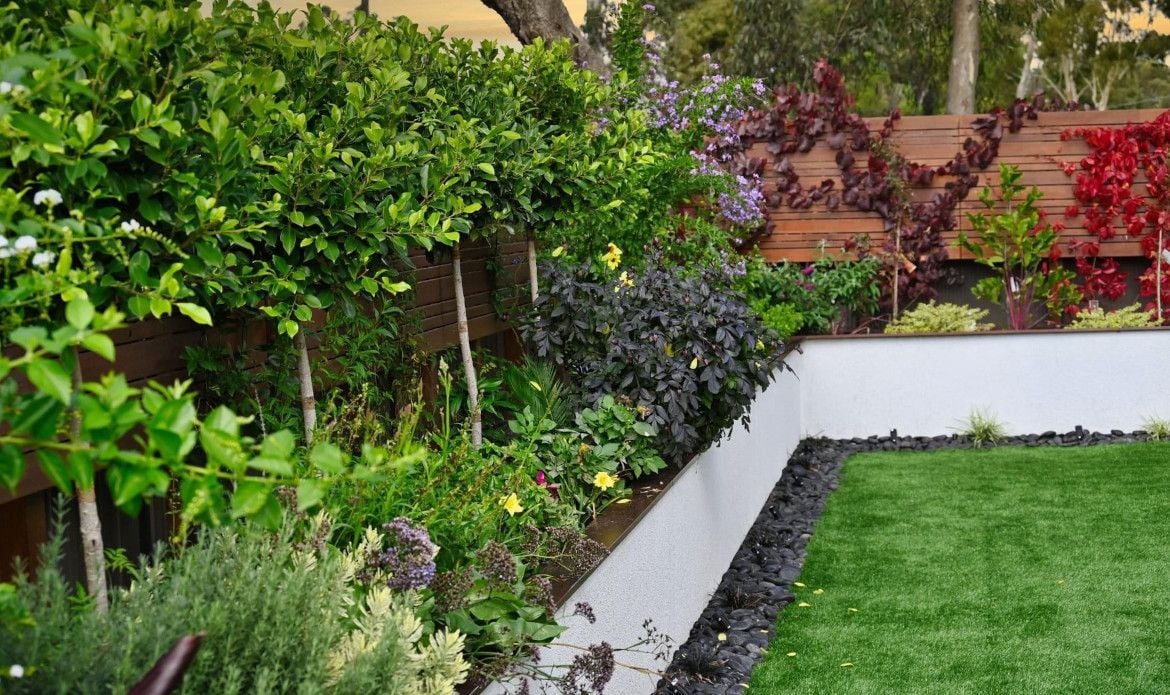 raised-beds-and-screens-around-corner.jpeg raised-beds-and-screens-around-corner.jpeg