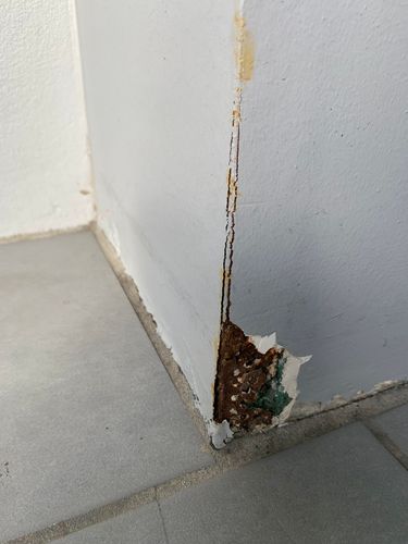 IMG_1229.jpeg IMG_1229.jpeg