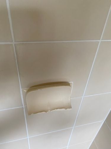 IMG_2397.jpeg IMG_2397.jpeg