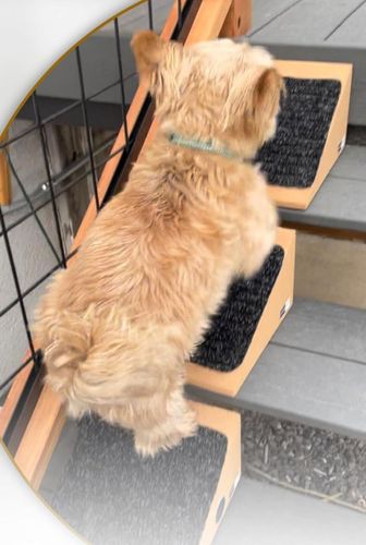 IMG_4348.jpeg IMG_4348.jpeg