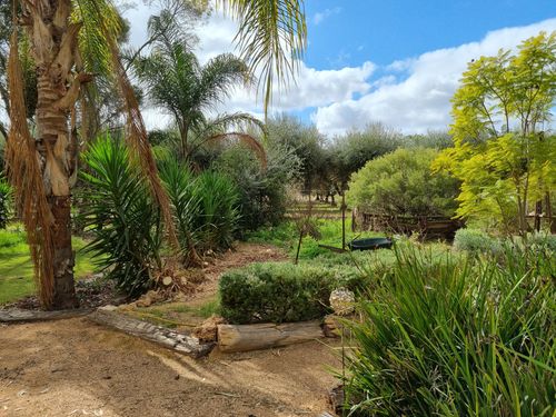 1000001560.jpg 1000001560.jpg