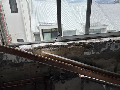 IMG_4339.jpeg IMG_4339.jpeg